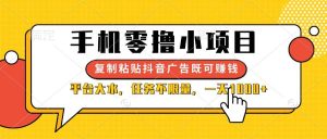 （14254期）手机零撸小项目，复制粘贴抖音广告即可赚钱，平台大水，任务不限量，一…-旺仔资源库