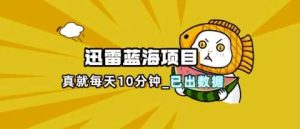 迅雷浏览器项目_真就每天忙活10分钟，完整拆解+热点把控(超详细拆解教程)-旺仔资源库