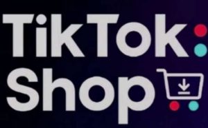 TikTokShop跨境电商0-1实战，手把手教你低成本启动海外市场-旺仔资源库