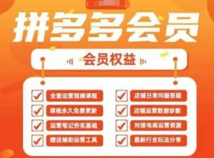 2025拼多多运营实战课，40节全流程教学，覆盖拼多多运营全链路-旺仔资源库