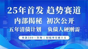 2025年首次公开,真正的事业型赛道,客咨不断,单月轻松破十-旺仔资源库