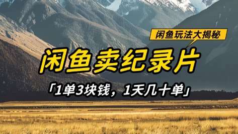 闲鱼卖纪录片1单3块钱，1天几十单，项目稳定有潜力-旺仔资源库