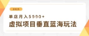 虚拟项目垂直玩法，实现单店月入5k+-旺仔资源库