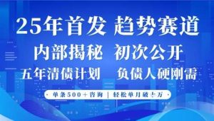 2025年首次公开，真正的事业型赛道，客咨不断，单月轻松破W-旺仔资源库