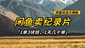 闲鱼卖纪录片,简单又赚钱的小项目,1单3块钱  1天几十单-旺仔资源库