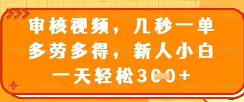 最新审核视频，几秒一单，多劳多得，新人小白一天轻松3张【揭秘】-旺仔资源库