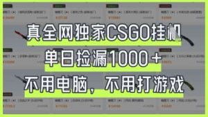 真全网独家CSGO挂G,单日捡漏1k+【揭秘】-旺仔资源库
