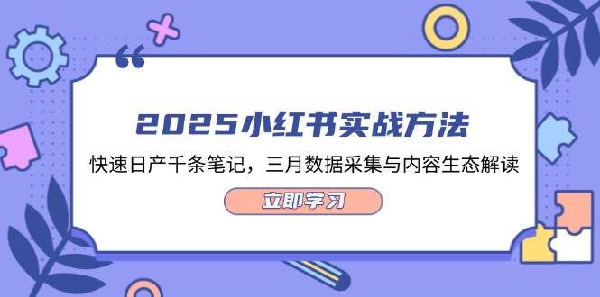 （14347期）2025小红书实战方法，快速日产千条笔记，三月数据采集与内容生态解读-旺仔资源库