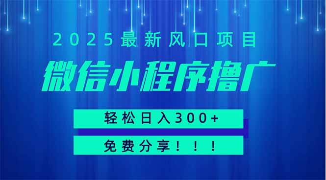 （14375期）微信小程序撸广，最新风口项目，日入300+ 免费分享 可批量操作 小白可…-旺仔资源库