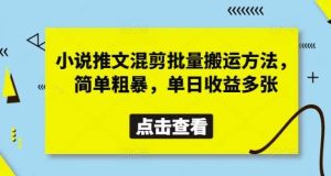 小说推文混剪批量搬运方法，简单粗暴，单日收益多张-旺仔资源库