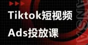 Ads视频投放课,tiktok短视频广告投放课-旺仔资源库