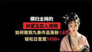 横扫全网的林黛玉怼人视频，如何做到九条作品涨粉7.8万，轻松日变现1k-旺仔资源库