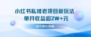 小红书私域项目新玩法，单月变现过W+-旺仔资源库