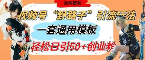 视频号“野路子”玩法，评论区疯狂截流，一套模板单日单号引流50+创业粉-旺仔资源库