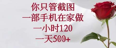 你只管截图，一部手机在家做，苹果安卓都可以，一小时120，一天5张+【揭秘】-旺仔资源库