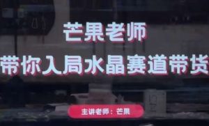 芒果老师·带你入局水晶赛道带货，助你开启水晶直播带货事业-旺仔资源库