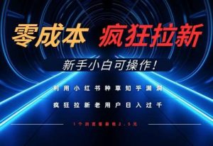 利用小红书种草知乎漏洞，零成本疯狂拉新日入数张，新手小白可操作-旺仔资源库