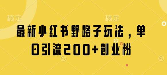 最新小红书野路子玩法，单日引流200+创业粉-旺仔资源库