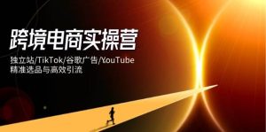 （14419期）跨境电商实操营：独立站/TikTok/谷歌广告/YouTube，精准选品与高效引流-旺仔资源库