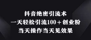 抖音绝密引流术,一天轻松引流100+创业粉,当天操作当天见效果-旺仔资源库