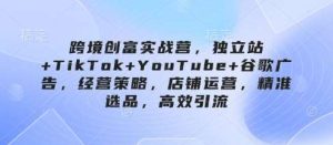 跨境创富实战营，独立站+TikTok+YouTube+谷歌广告，经营策略，店铺运营，精准选品，高效引流-旺仔资源库