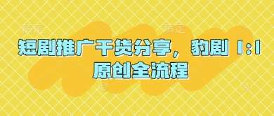短剧推广干货分享，豹剧 1:1原创全流程-旺仔资源库