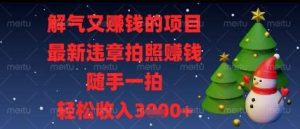 解气又挣钱的项目，最新违章拍照挣钱，随手一拍，轻松收入多张【揭秘】-旺仔资源库