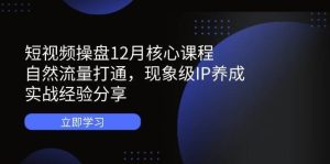 短视频操盘12月核心课程：自然流量打通，现象级IP养成，实战经验分享-旺仔资源库