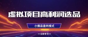 虚拟项目高利润选品方法，做好单店利润1W+，可多店倍增利润-旺仔资源库