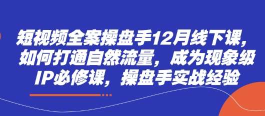 短视频全案操盘手12月线下课，如何打通自然流量，成为现象级IP必修课，操盘手实战经验-旺仔资源库
