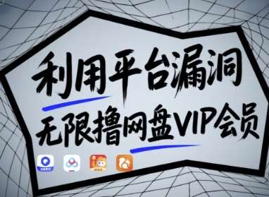 利用平台漏洞，无限撸网盘VIP会员，用户亲测有效!【漏洞原理+操作演示】-旺仔资源库