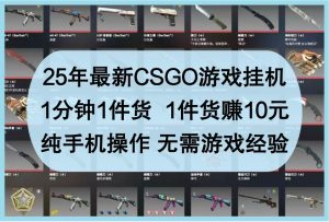 25年最新CSGO游戏挂机，1分钟1件货，1件货赚10元，纯手机操作，无需游戏经验-旺仔资源库