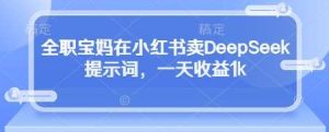 全职宝妈在小红书卖DeepSeek提示词,一天收益1k-旺仔资源库