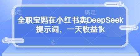全职宝妈在小红书卖DeepSeek提示词，一天收益1k-旺仔资源库