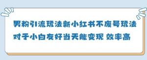 男粉引流玩法(新)，玩法友好做的好当天就能变现-旺仔资源库