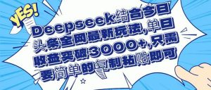（14495期）Deepseek结合今日头条全网最新玩法，单日收益突破3000+，只需要简单的…-旺仔资源库
