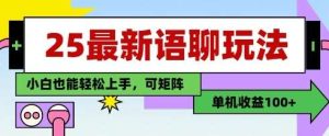 25年最新语聊玩法,纯手工,单机收益100+,小白也能轻松上手,可矩阵操作-旺仔资源库