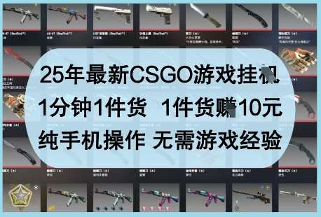 25年最新CSGO游戏挂G，1分钟1件货，1件货挣10元，纯手机操作，无需游戏经验【揭秘】-旺仔资源库