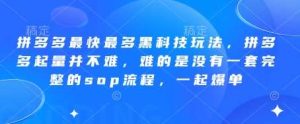 拼多多最快最多黑科技玩法，拼多多起量并不难，难的是没有一套完整的sop流程，一起爆单!-旺仔资源库