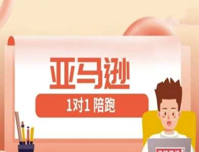 亚马逊1对1陪跑课(FBA/FBM精铺)跨境亚马逊教程-旺仔资源库