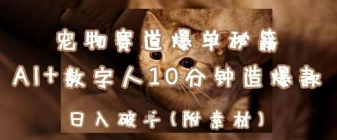宠物赛道爆单秘籍：AI+数字人10分钟造爆款，日入1k-旺仔资源库
