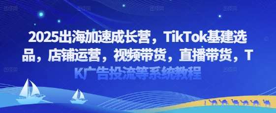 2025出海加速成长营，TikTok基建选品，店铺运营，视频带货，直播带货，TK广告投流等系统教程-旺仔资源库