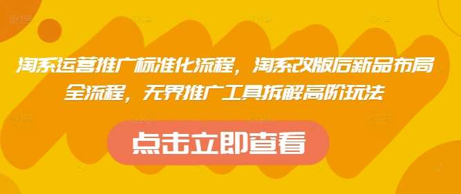 淘系运营推广标准化流程，​淘系改版后新品布局全流程，无界推广工具拆解高阶玩法-旺仔资源库