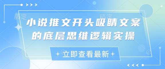 小说推文开头吸睛文案的底层思维逻辑实操-旺仔资源库