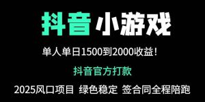 （14527期）抖音官方小游戏2025全网最新玩法，暴利赚钱项目，单机日入2000+，绝不…-旺仔资源库