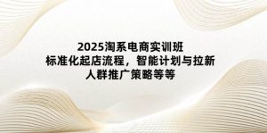 （14522期）2025淘系电商实训班：标准化起店流程，智能计划与拉新，人群推广策略等等-旺仔资源库