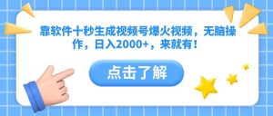 （14538期）靠软件十秒生成视频号爆火视频，无脑操作，日入2000+，来就有！-旺仔资源库
