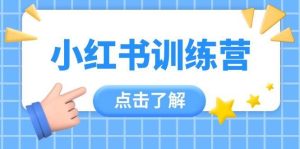 小红书训练营，助小白入门，掌握技巧变达人，课程实操又全面（12节课）-旺仔资源库