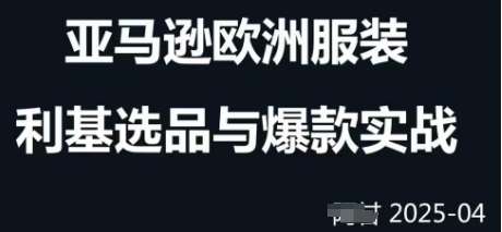 跨境电商选品案例24-25年，聚焦跨境电商选品策略与运营优化，助力卖家挖掘蓝海市场-旺仔资源库