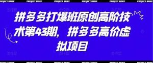 拼多多打爆班原创高阶技术第43期，拼多多高价虚拟项目-旺仔资源库
